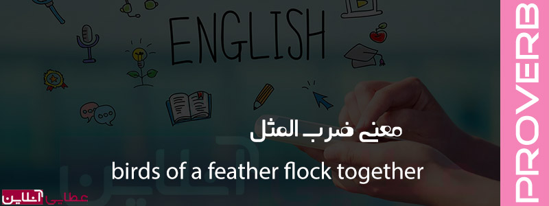 معنی birds of a feather flock together